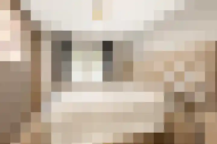 Wieringer Aak 10 Velserbroek thumbnail 38