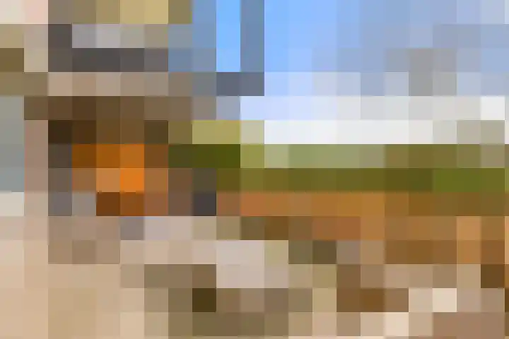 Wieringer Aak 10 Velserbroek thumbnail 45