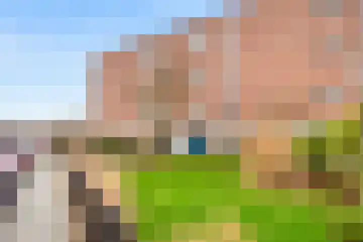 Wieringer Aak 10 Velserbroek thumbnail 7