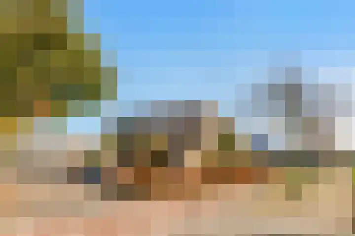 Wieringer Aak 10 Velserbroek thumbnail 9