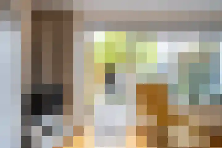 Wieringer Aak 107 Velserbroek thumbnail 12