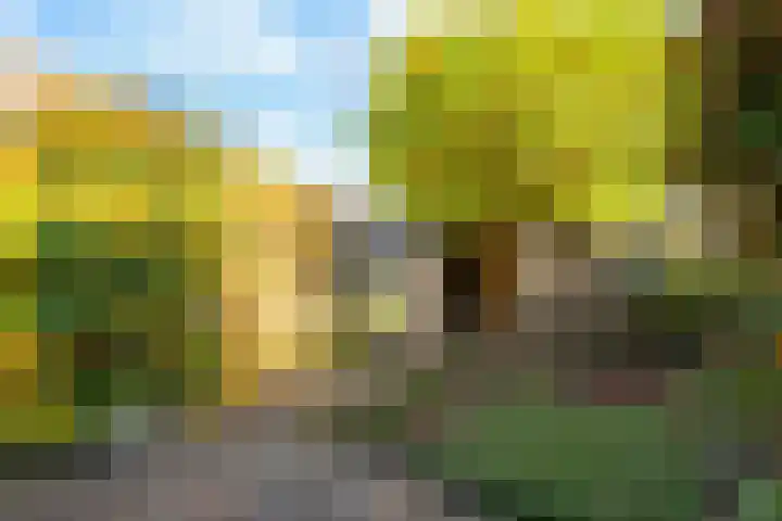 Wieringer Aak 107 Velserbroek thumbnail 13