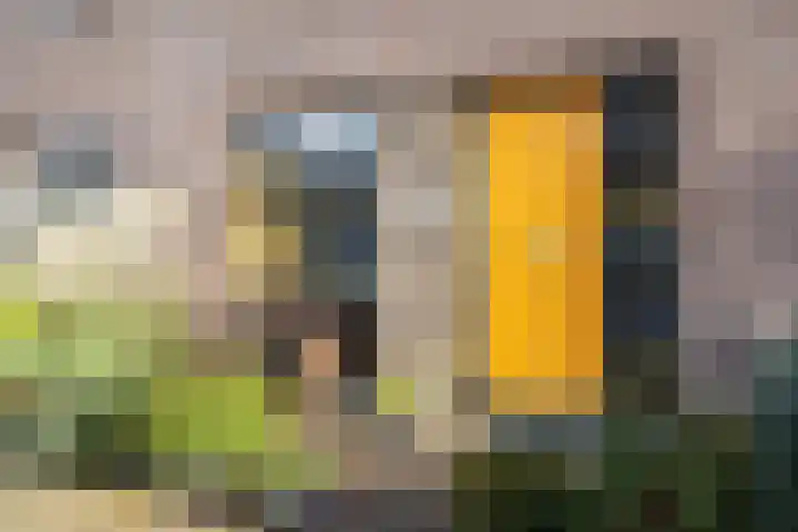 Wieringer Aak 107 Velserbroek thumbnail 7