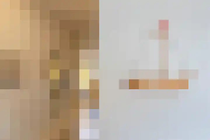 Wieringer Aak 107 Velserbroek thumbnail 8