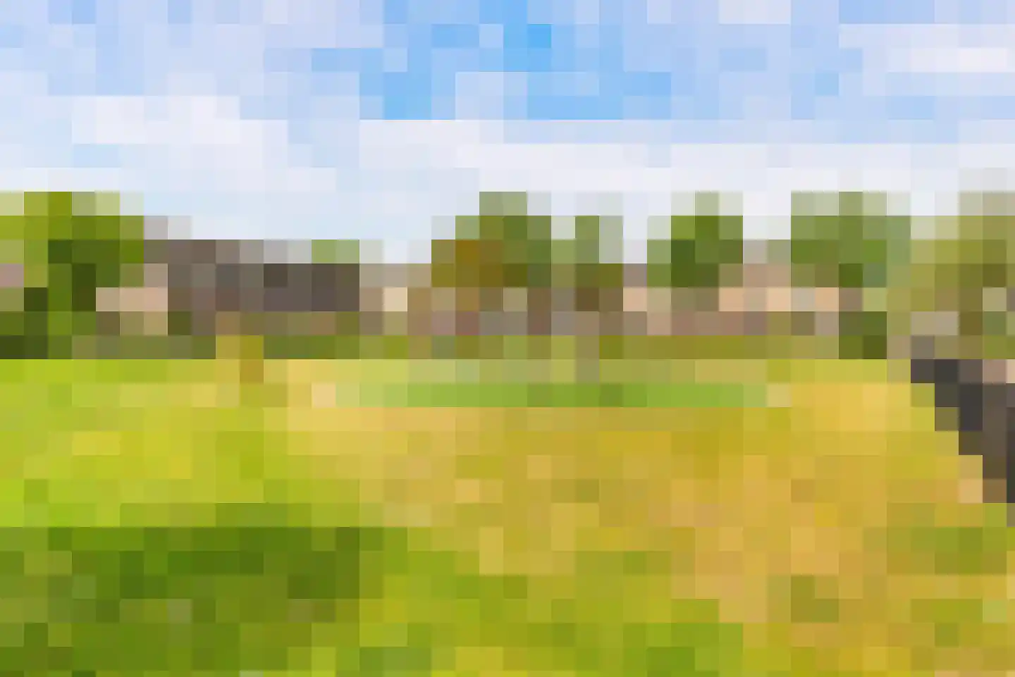 Wieringer Aak 16 Velserbroek thumbnail 47