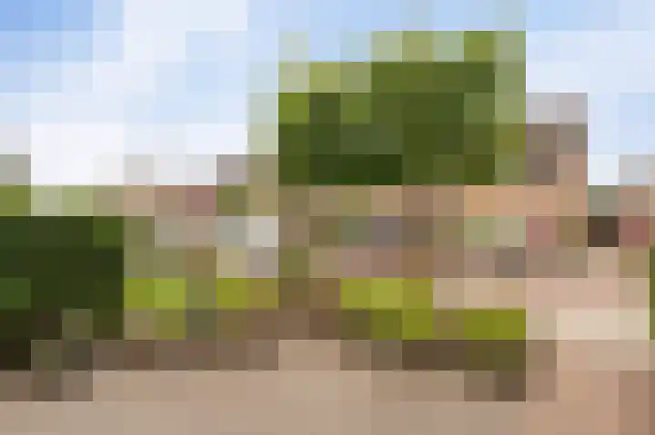 Wieringermeer 20 Emmeloord thumbnail 10