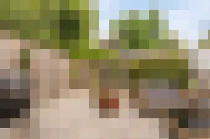 Wieringermeer 20 Emmeloord thumbnail 24