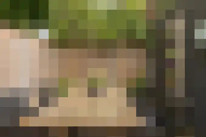 Wieringermeer 20 Emmeloord thumbnail 25