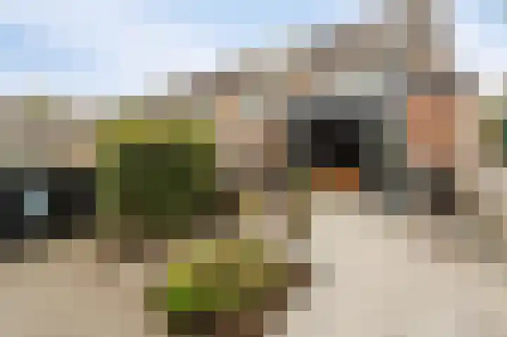 Wieringermeer 20 Emmeloord thumbnail 27
