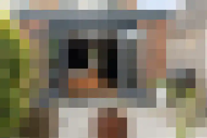 Wieringermeer 20 Emmeloord thumbnail 28