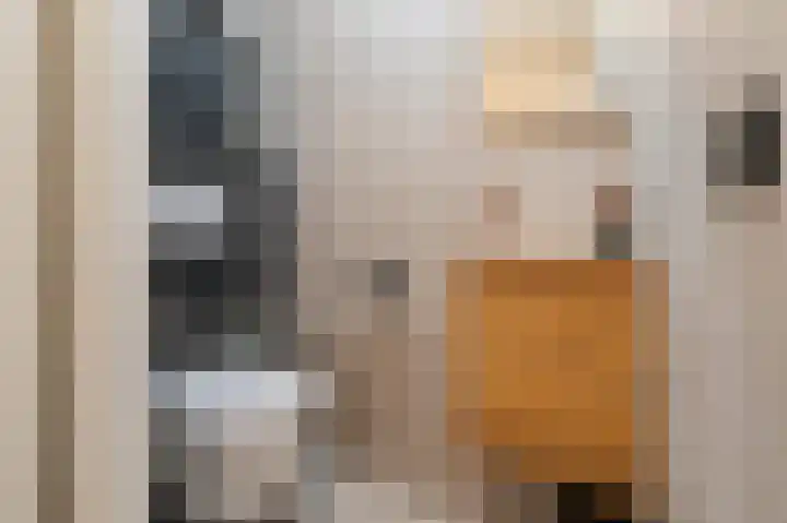 Wieringermeer 20 Emmeloord thumbnail 31