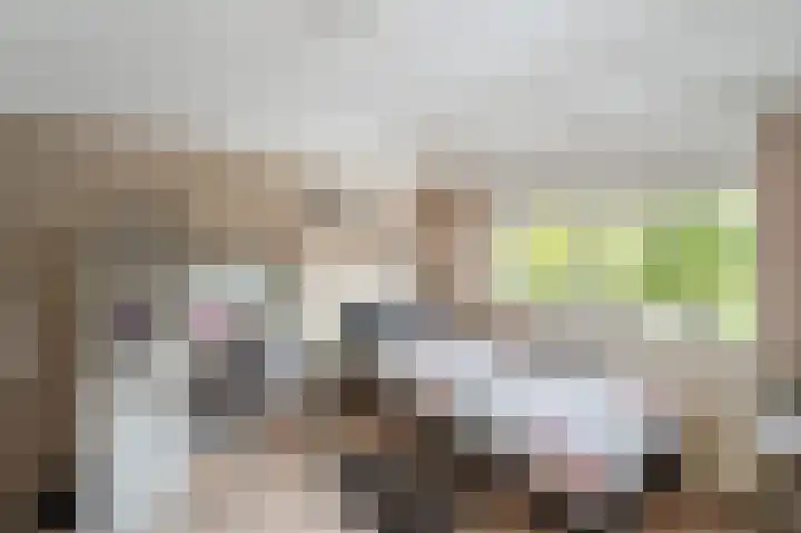 Wieringermeer 20 Emmeloord thumbnail 35