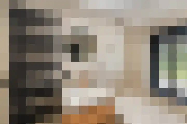 Wieringermeer 20 Emmeloord thumbnail 37