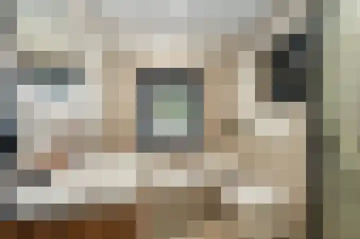Wieringermeer 20 Emmeloord thumbnail 38