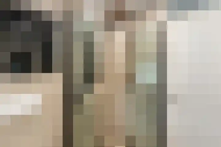 Wieringermeer 20 Emmeloord thumbnail 39