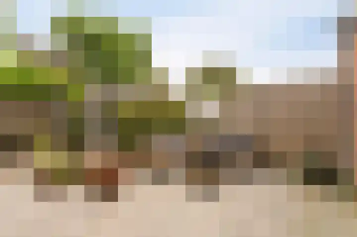 Wieringermeer 20 Emmeloord thumbnail 4