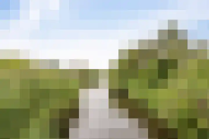 Wieringermeer 20 Emmeloord thumbnail 5