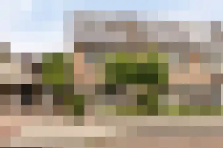 Wieringermeer 20 Emmeloord thumbnail 56