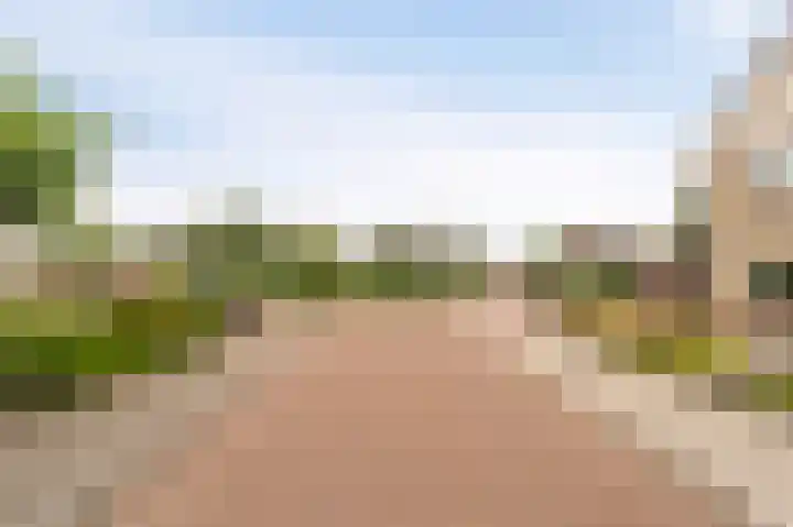 Wieringermeer 20 Emmeloord thumbnail 7