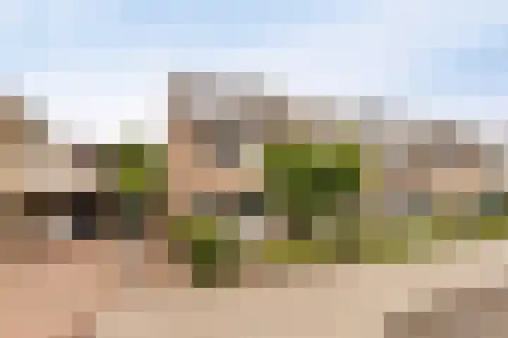 Wieringermeer 20 Emmeloord thumbnail 8