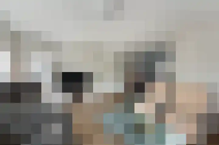 Wieringermeer 22 Emmeloord thumbnail 17