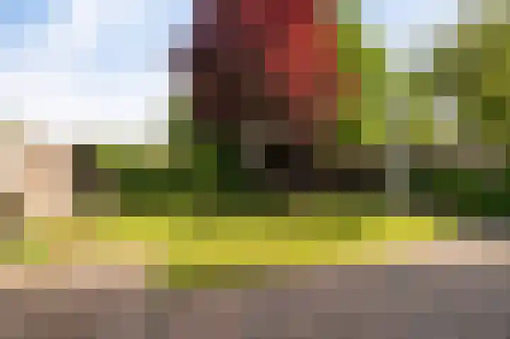 Wieringermeer 22 Emmeloord thumbnail 33