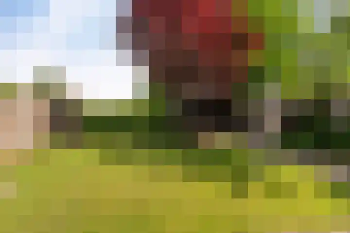 Wieringermeer 22 Emmeloord thumbnail 34