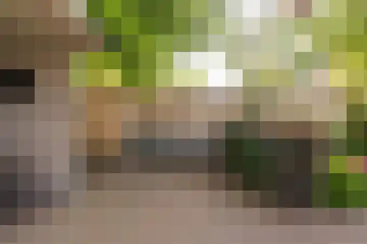 Wieringermeer 22 Emmeloord thumbnail 36