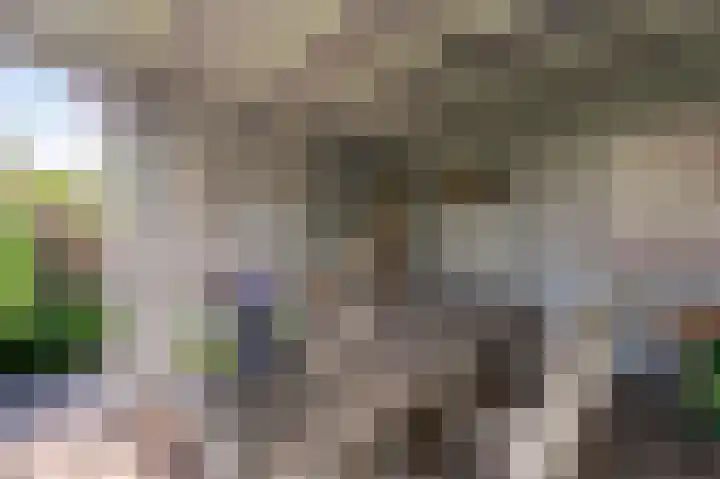 Wieringermeer 22 Emmeloord thumbnail 37