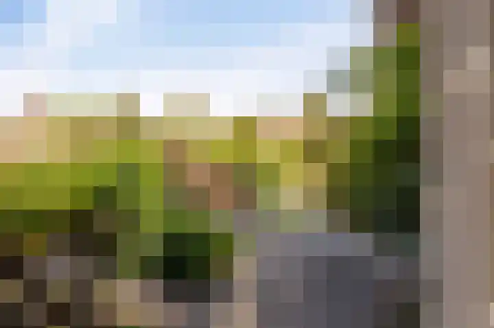Wieringermeer 22 Emmeloord thumbnail 38
