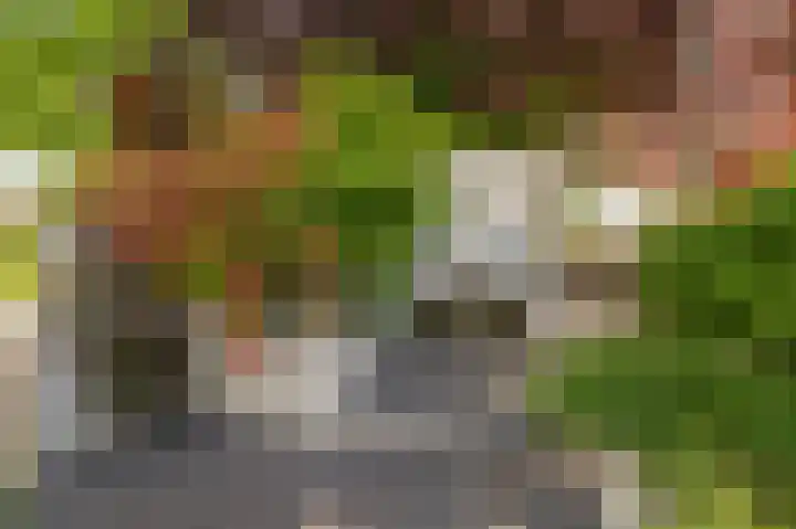 Wieringermeer 22 Emmeloord thumbnail 39