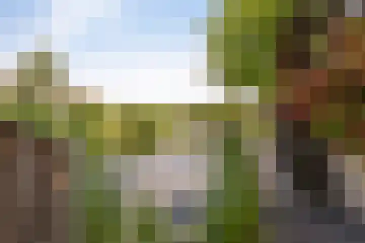 Wieringermeer 22 Emmeloord thumbnail 4