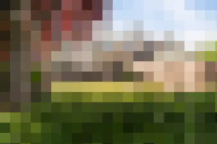 Wieringermeer 22 Emmeloord thumbnail 40