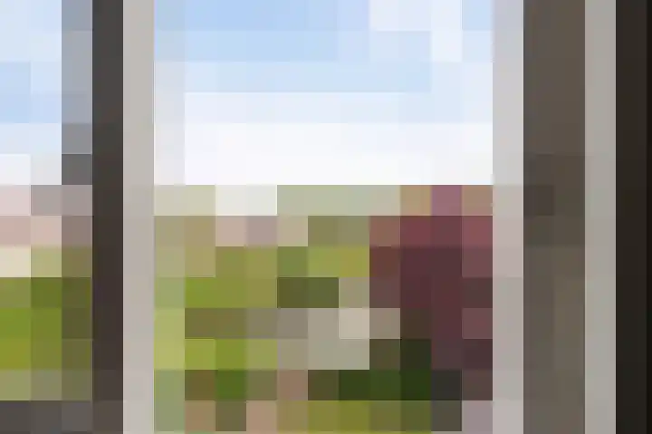 Wieringermeer 22 Emmeloord thumbnail 60