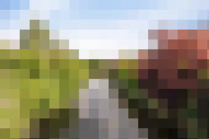 Wieringermeer 22 Emmeloord thumbnail 67