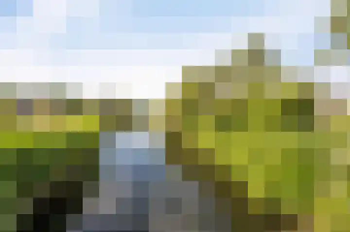 Wieringermeer 22 Emmeloord thumbnail 68