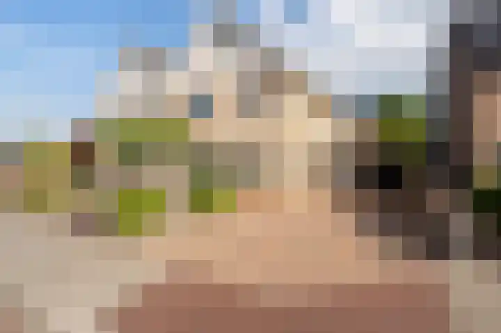 Wieringermeer 22 Emmeloord thumbnail 8