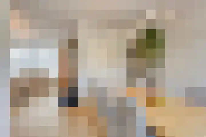 Wieringermeerlaan 14 Eindhoven thumbnail 11