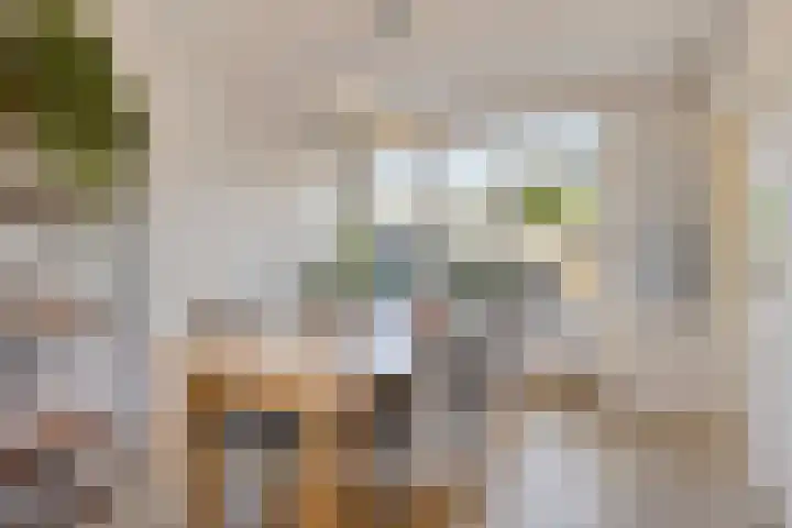 Wieringermeerlaan 14 Eindhoven thumbnail 12