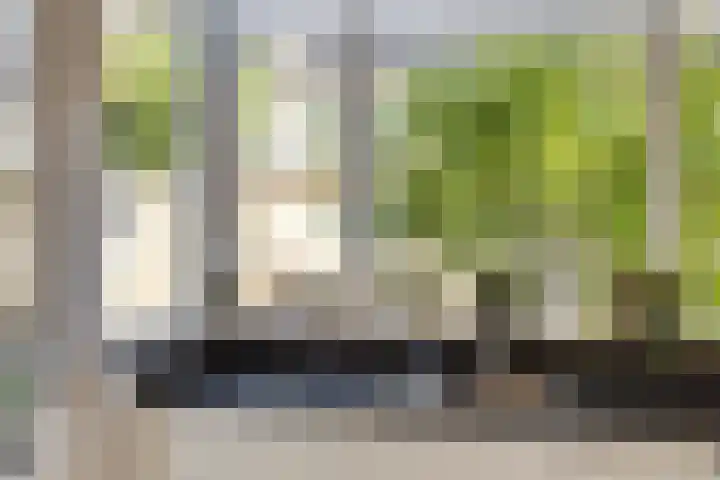 Wieringermeerlaan 14 Eindhoven thumbnail 14