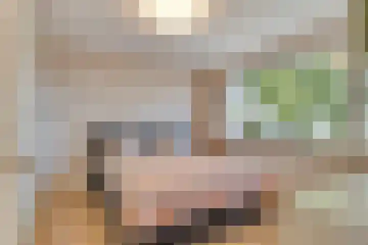 Wieringermeerlaan 14 Eindhoven thumbnail 18