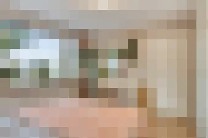 Wieringermeerlaan 14 Eindhoven thumbnail 19