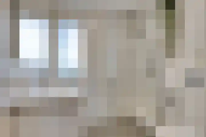 Wieringermeerlaan 14 Eindhoven thumbnail 20