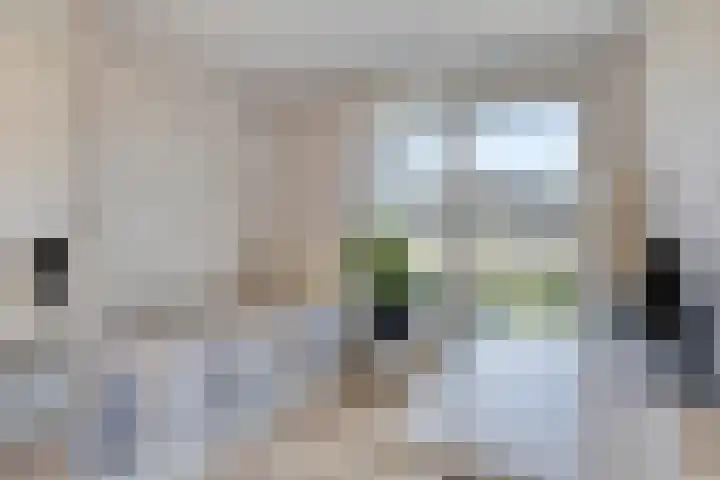Wieringermeerlaan 14 Eindhoven thumbnail 22