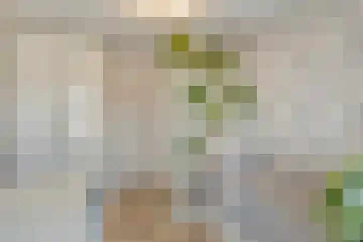 Wieringermeerlaan 14 Eindhoven thumbnail 23