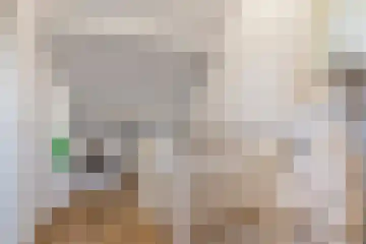 Wieringermeerlaan 14 Eindhoven thumbnail 25