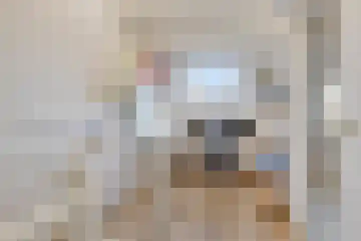 Wieringermeerlaan 14 Eindhoven thumbnail 26
