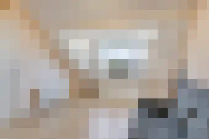 Wieringermeerlaan 14 Eindhoven thumbnail 27