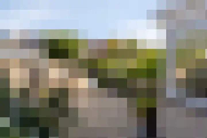 Wieringermeerlaan 14 Eindhoven thumbnail 29