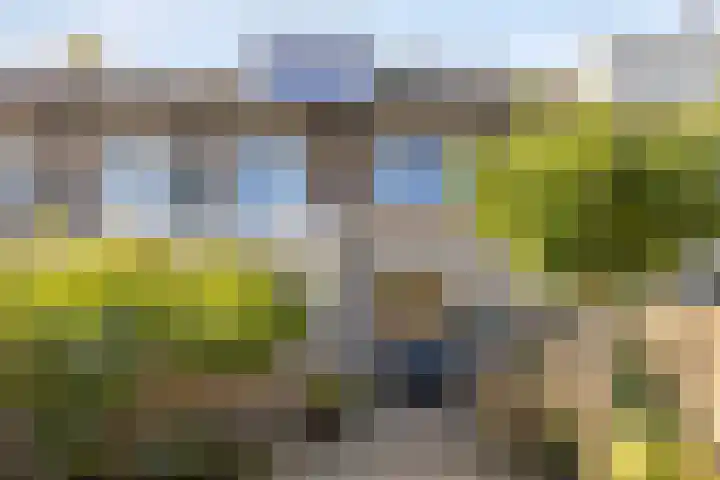 Wieringermeerlaan 14 Eindhoven thumbnail 30